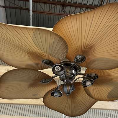 Ceiling Fan