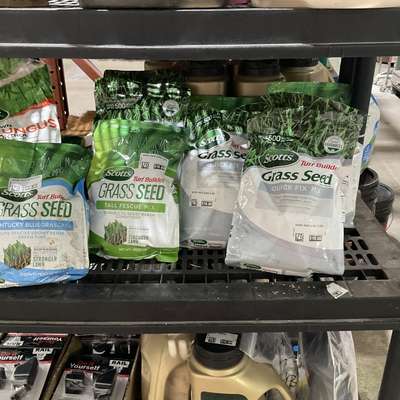 scotts rapid grass 5.6lb