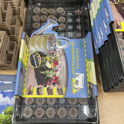 12  plant starter seeds