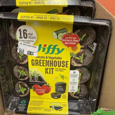 50  plant starter seeds