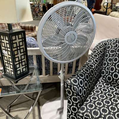 standing oscillating fan