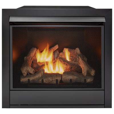 Duluth Forge Gas Fireplace INSERT